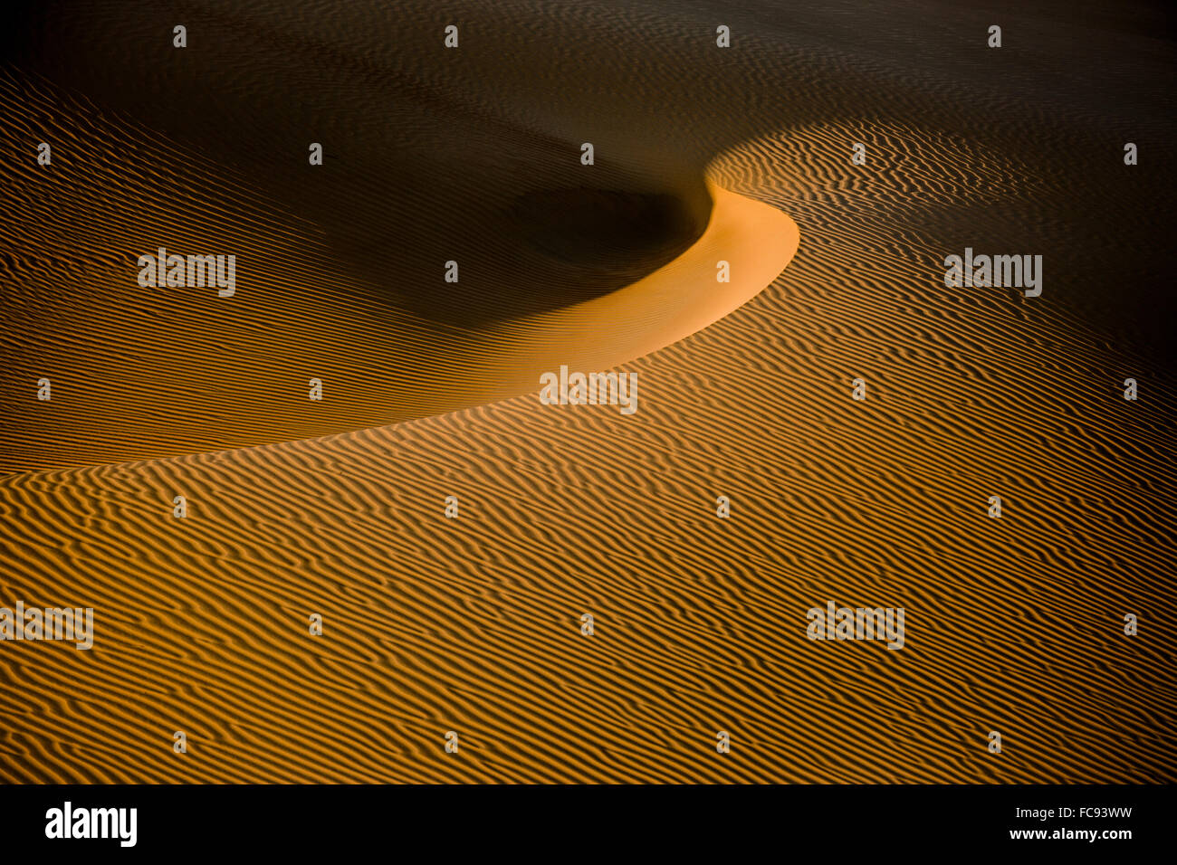 Formen, Strukturen und Muster, Licht und Schatten auf Sanddünen, Rub' al Khali oder Khali, Vereinigte Arabische Emirate Stockfoto