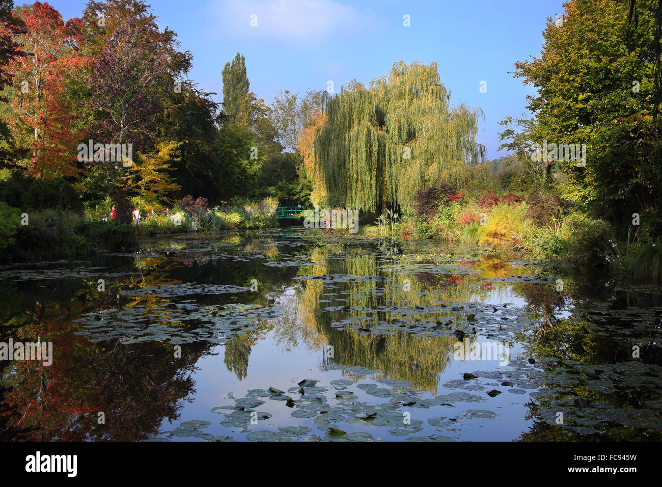 Monets Wassergarten im Oktober, Giverny, Normandie, Frankreich, Europa Stockfoto