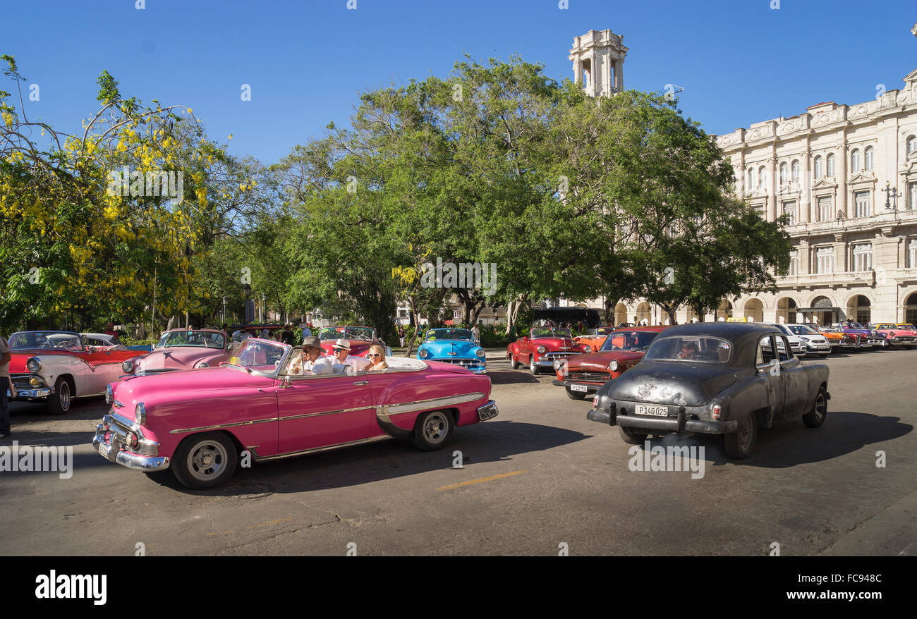 Alte amerikanische Autos in Havanna, Kuba, Westindische Inseln, Karibik, Mittelamerika Stockfoto