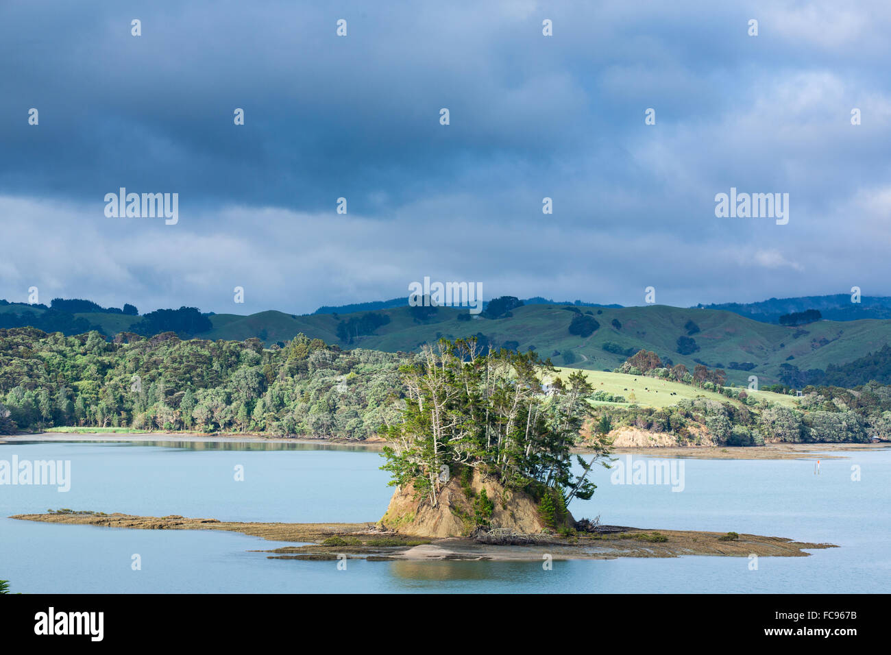 Mündung in der Nähe von Snells Beach, Region Auckland, Nordinsel, Neuseeland, Pazifik Stockfoto