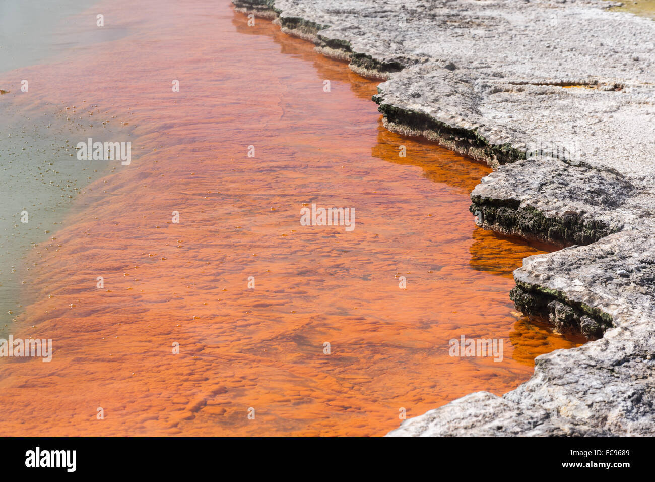 Wai-O-Tapu Thermal Wonderland, Rotorua, Nordinsel Neuseeland, Pazifik Stockfoto