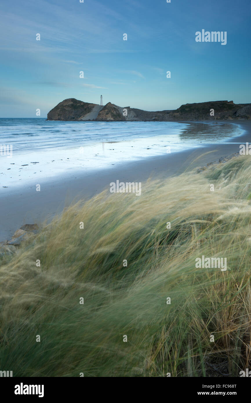 Castlepoint, Region Wellington, Nordinsel, Neuseeland, Pazifik Stockfoto