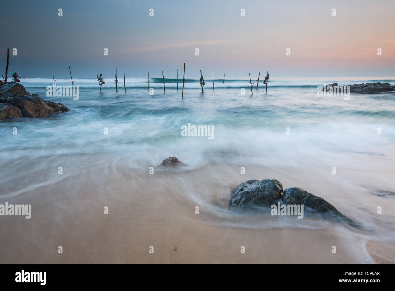 Stelzenläufer Fischer, Mirissa, Sri Lanka, Asien Stockfoto