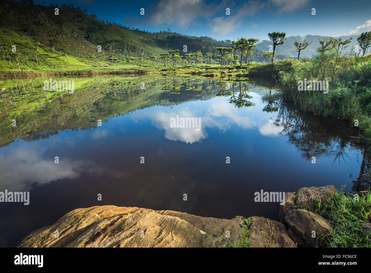 See außerhalb von Haputale, Sri Lanka, Asien Stockfoto