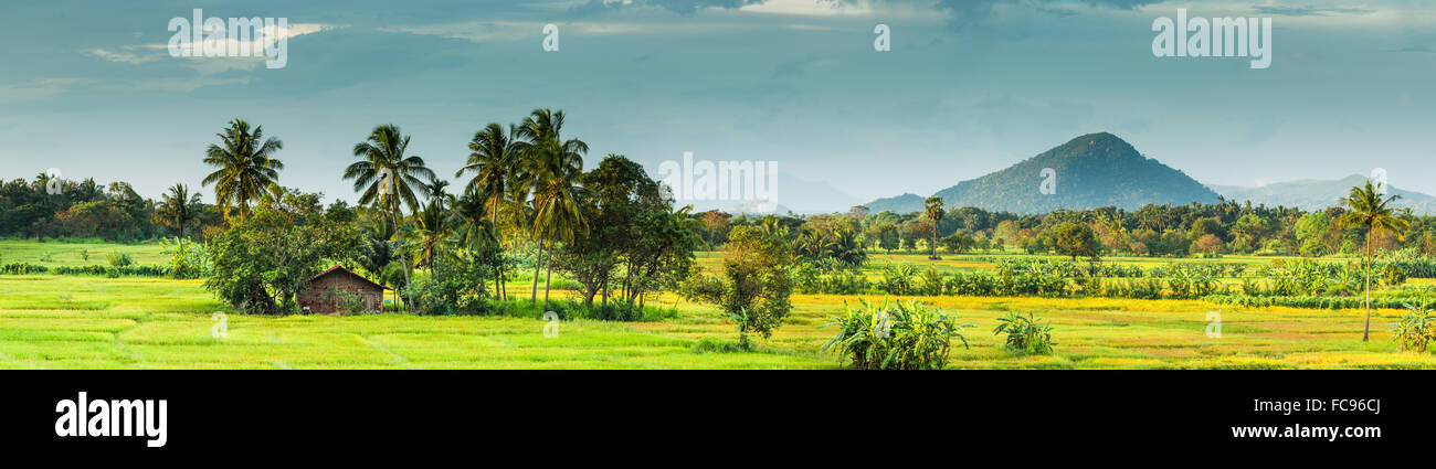 Kandalama Reservoir, Dambulla, Sri Lanka, Asien Stockfoto