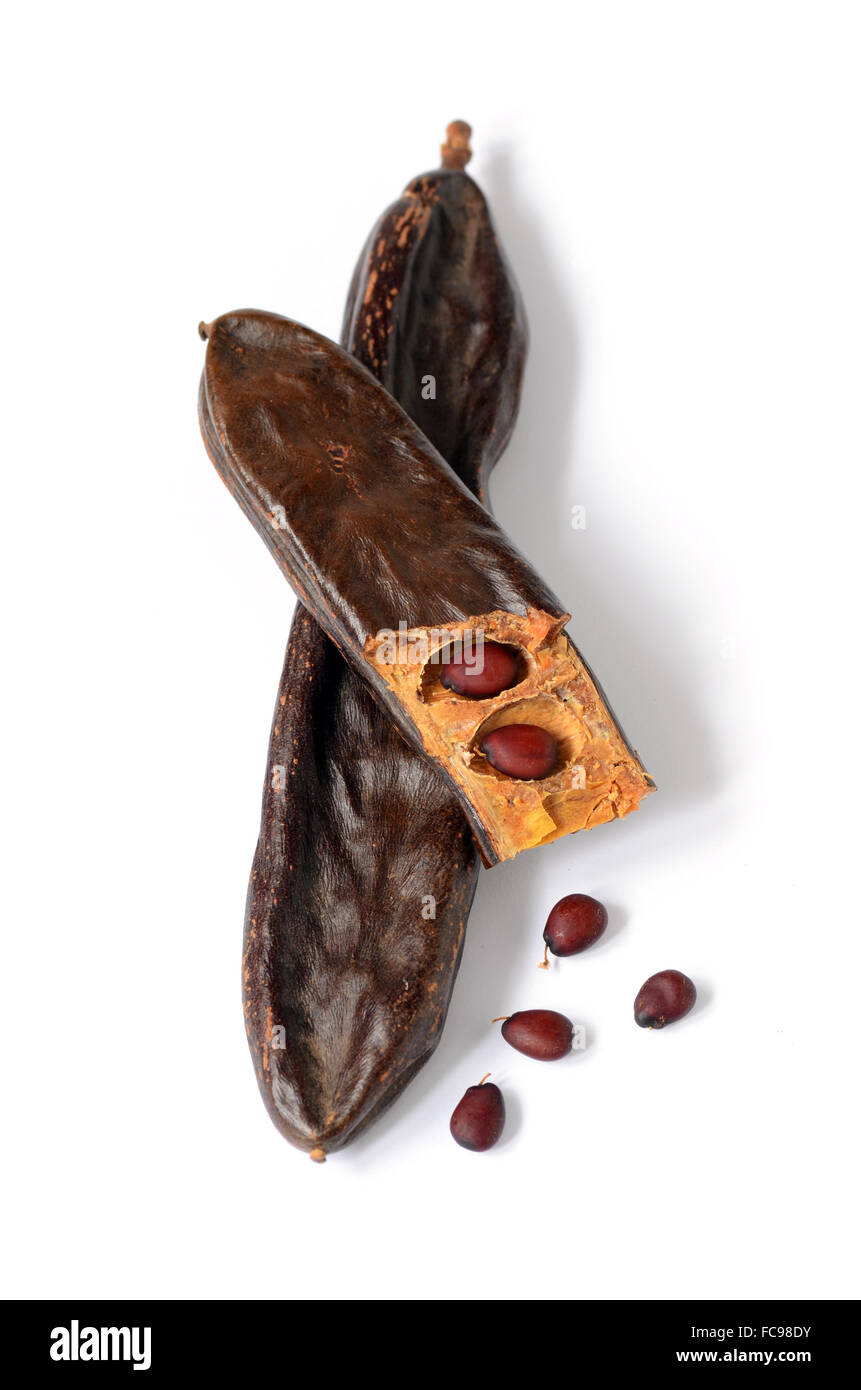 Reife Johannisbrot Schoten, Carob Pulver können als Ersatz für Kakao verwendet werden Stockfoto