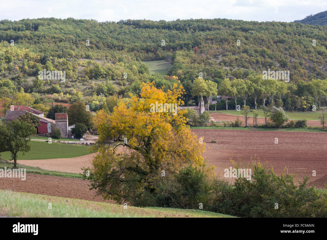 Landschaft und im Herbst Farben, Tarn, Südfrankreich Stockfoto