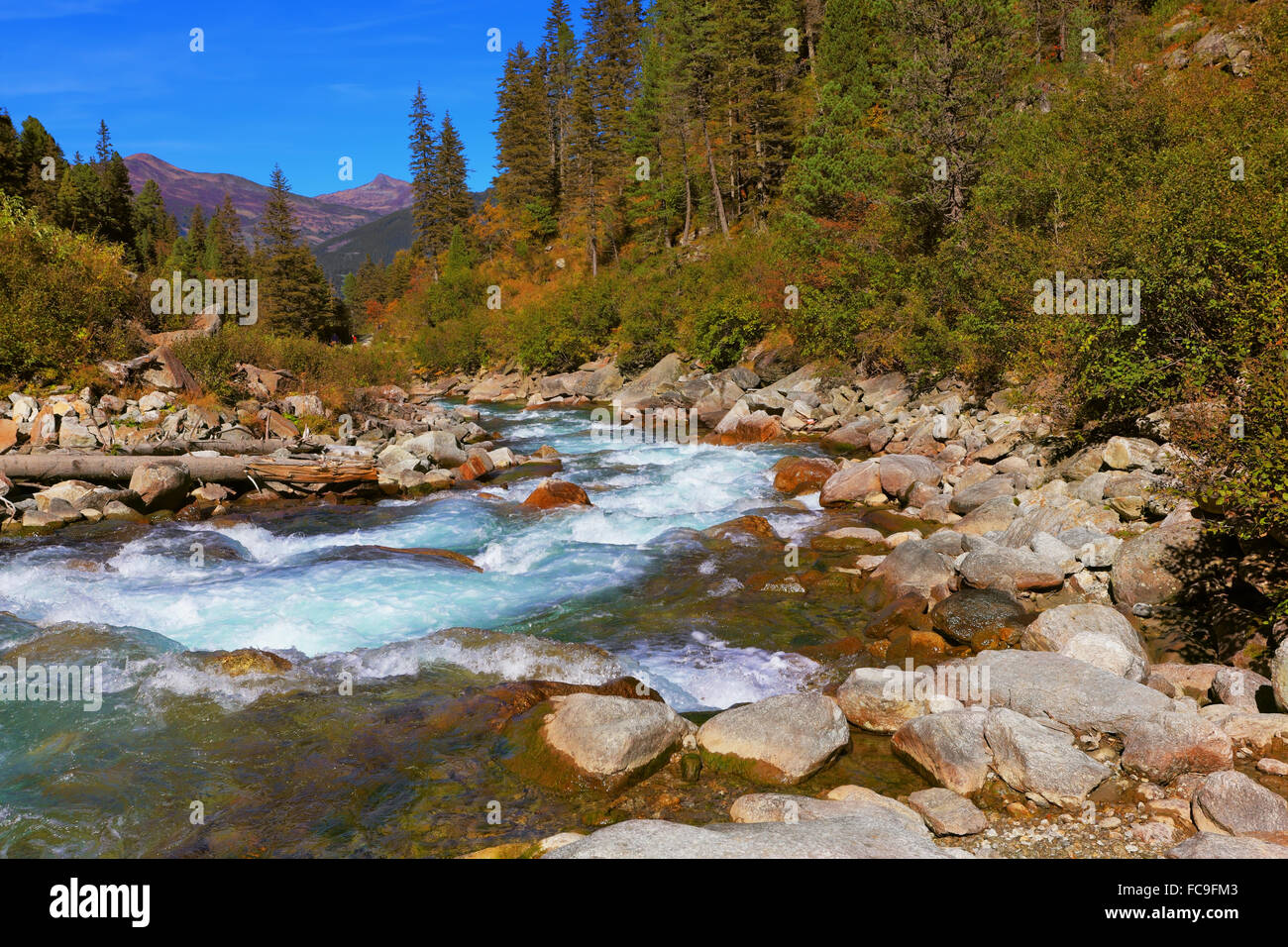 Seelsorge im alpinen stream Stockfoto