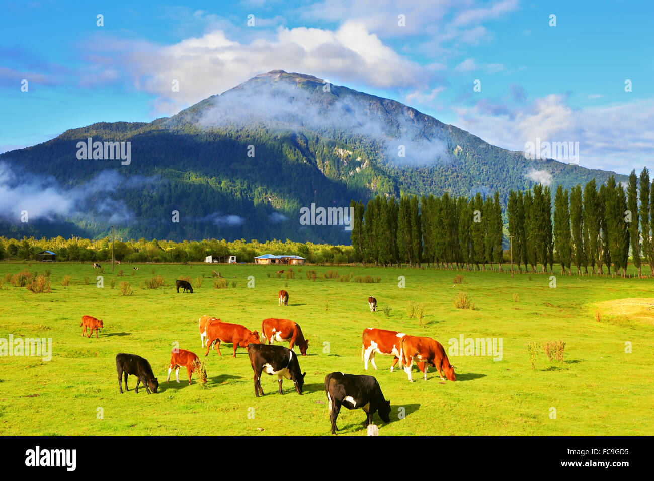 Ländliche Idylle in Chile Stockfoto