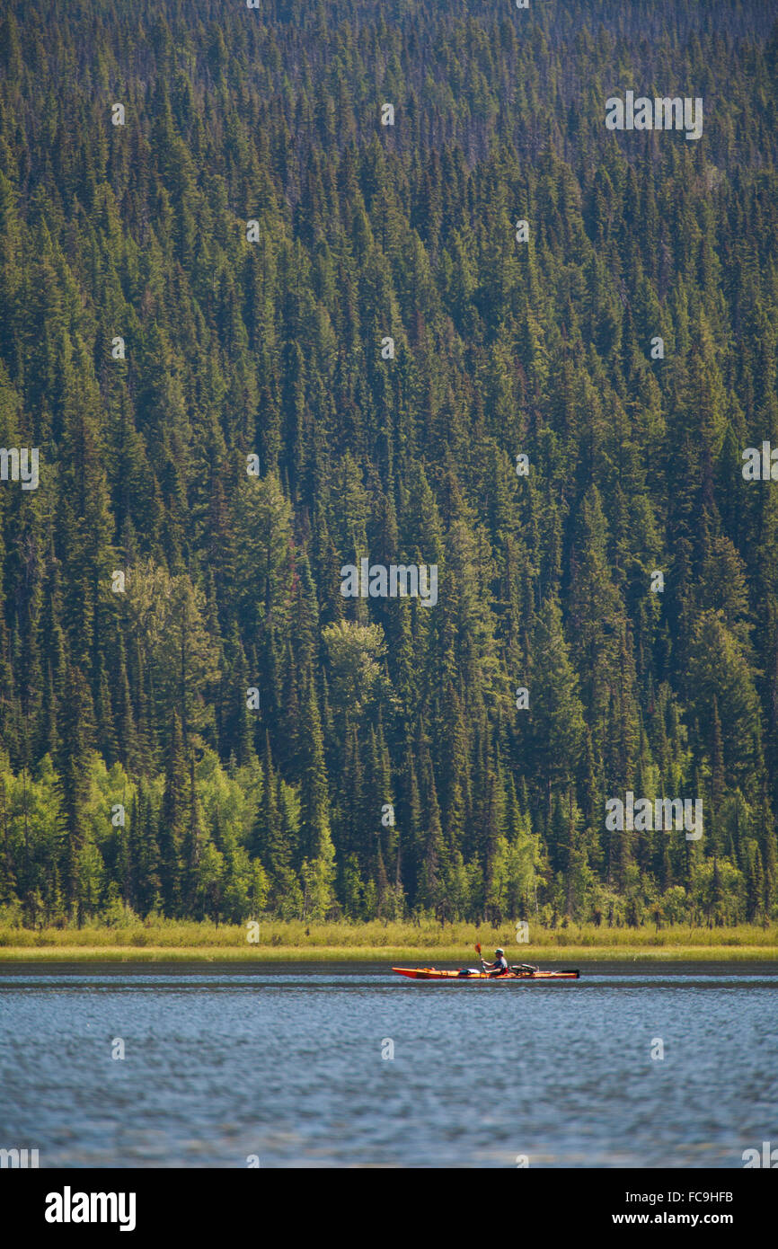 Kajakfahren auf Bowron Lake im Bowron Lake Provincial Park. Stockfoto
