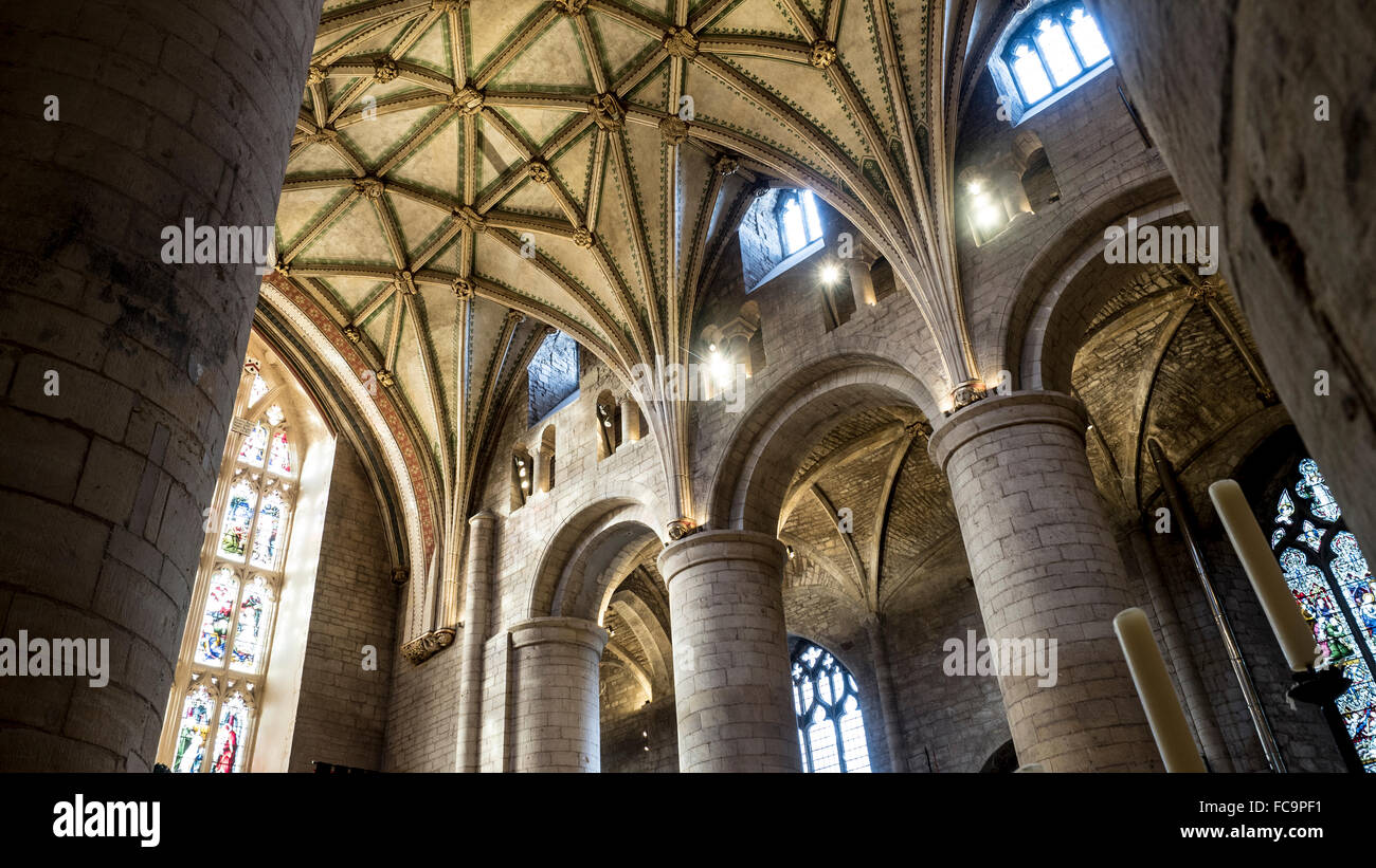 OLYMPUS Digitalkamera Tewkesbury Abbey Gloucester. herrliche Lierne Voltigieren, Stockfoto