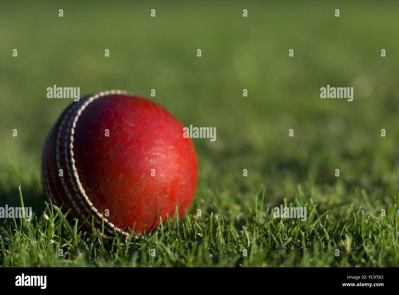 Roten Cricketball auf Rasen Stockfoto