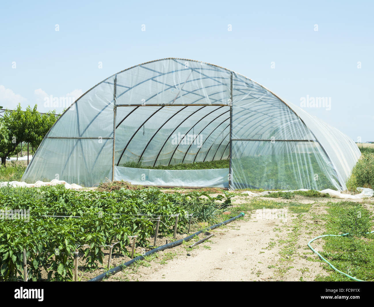 Gewächshaus Stockfoto