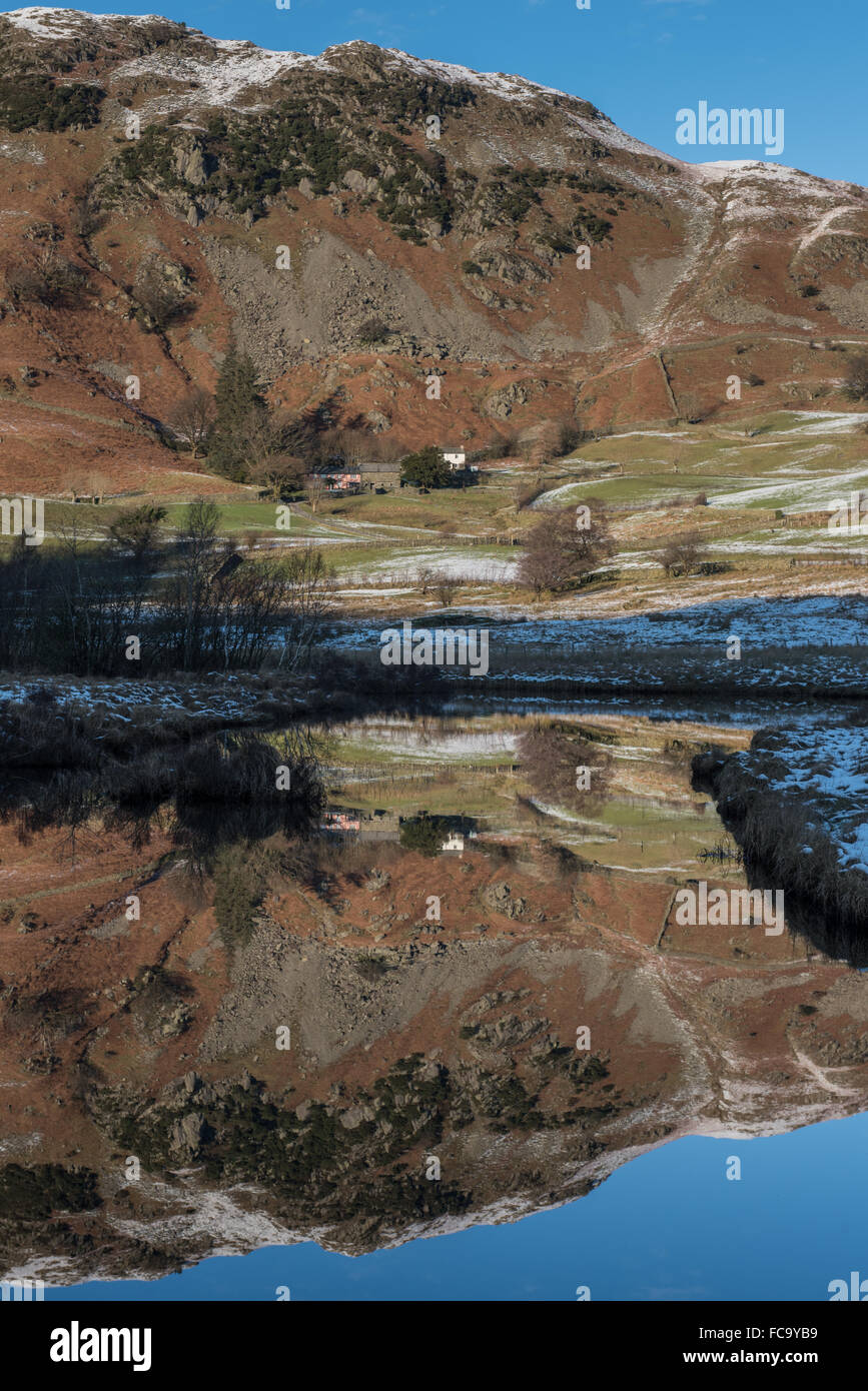 Lingmoor spiegelt sich in den Fluß Brathay Cumbria Stockfoto