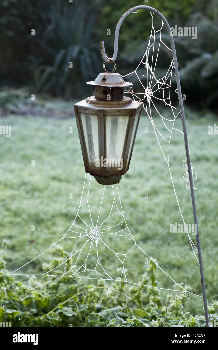 Gartenlaterne mit Spinnen-Netz bei frost Stockfoto