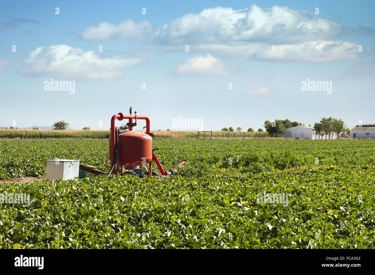 Bewässerung-Systeme Stockfoto