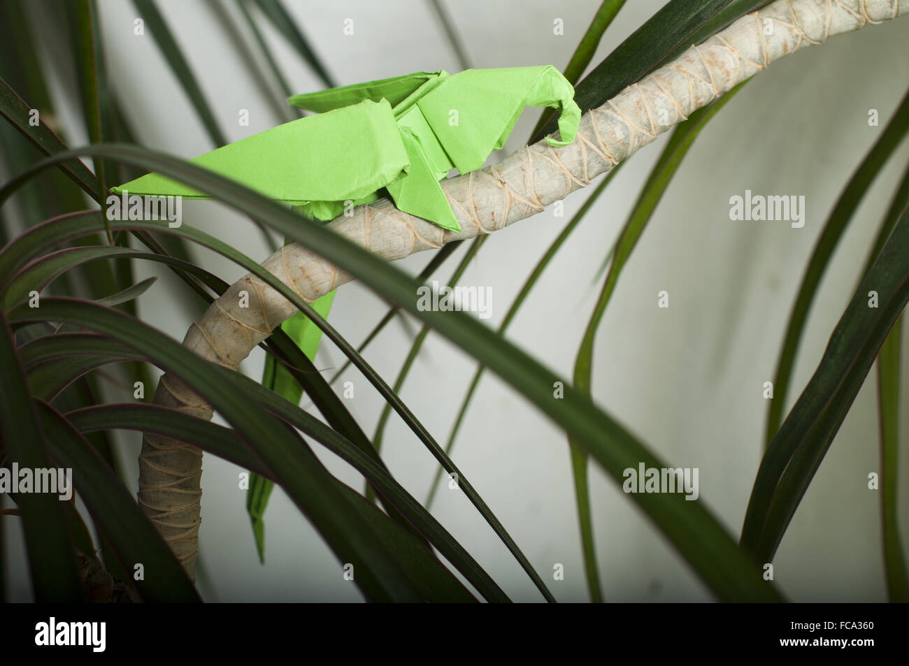Papagei auf einem Baum Stockfoto