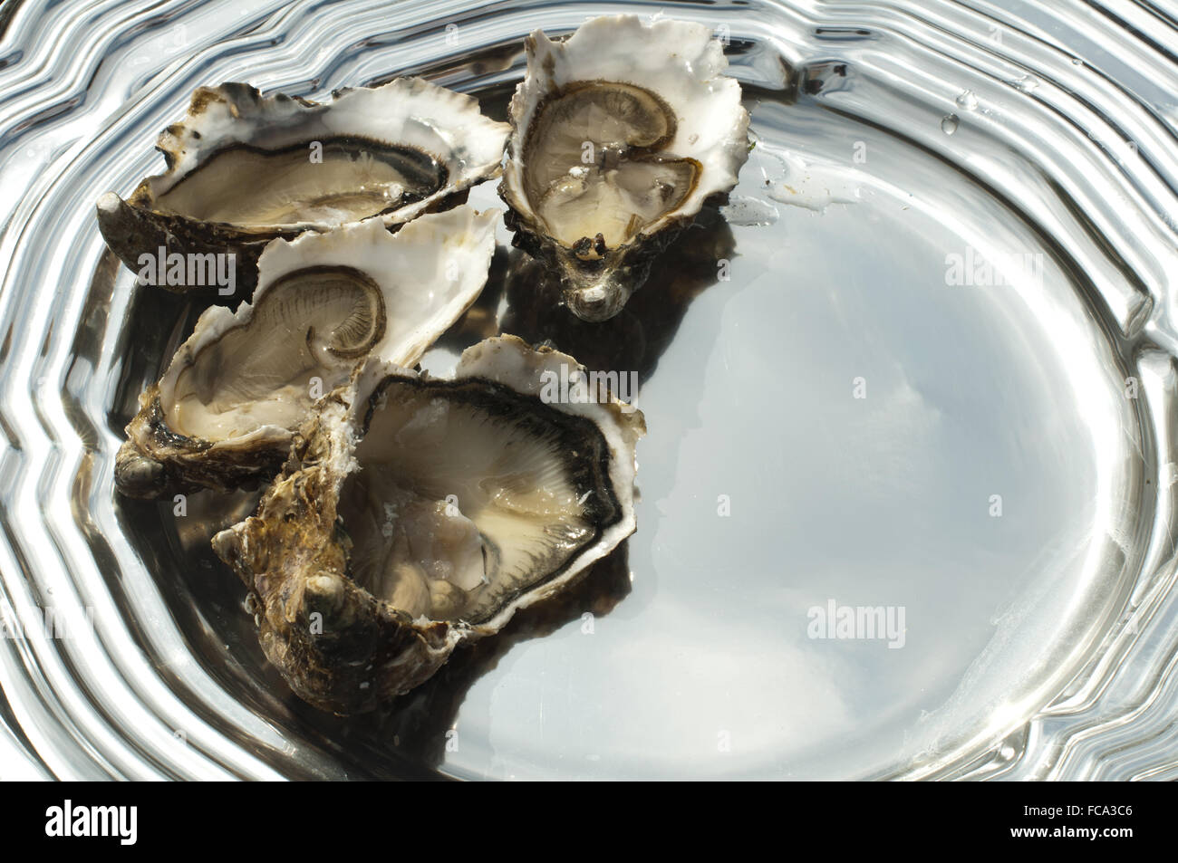 Austern auf einem silbernen Tablett Stockfoto