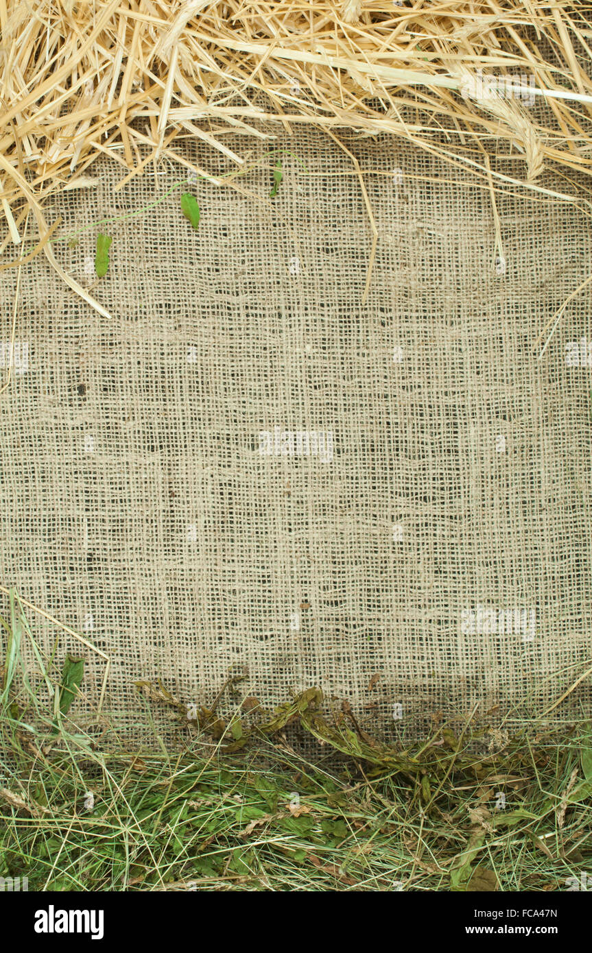 Stroh und Heu auf Sackleinen Stockfoto