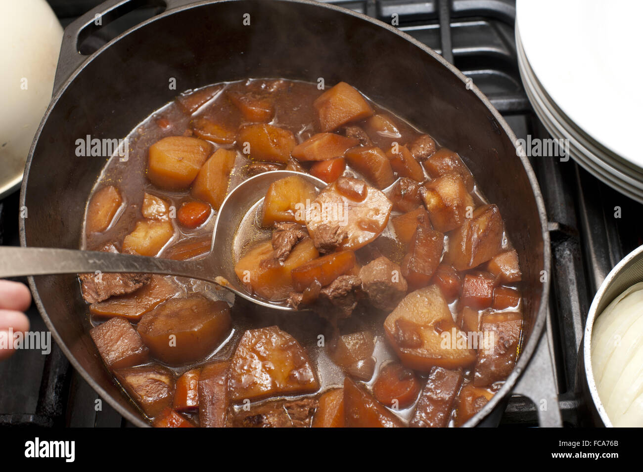 Leckeres Rindergulasch in einem Topf Stockfoto