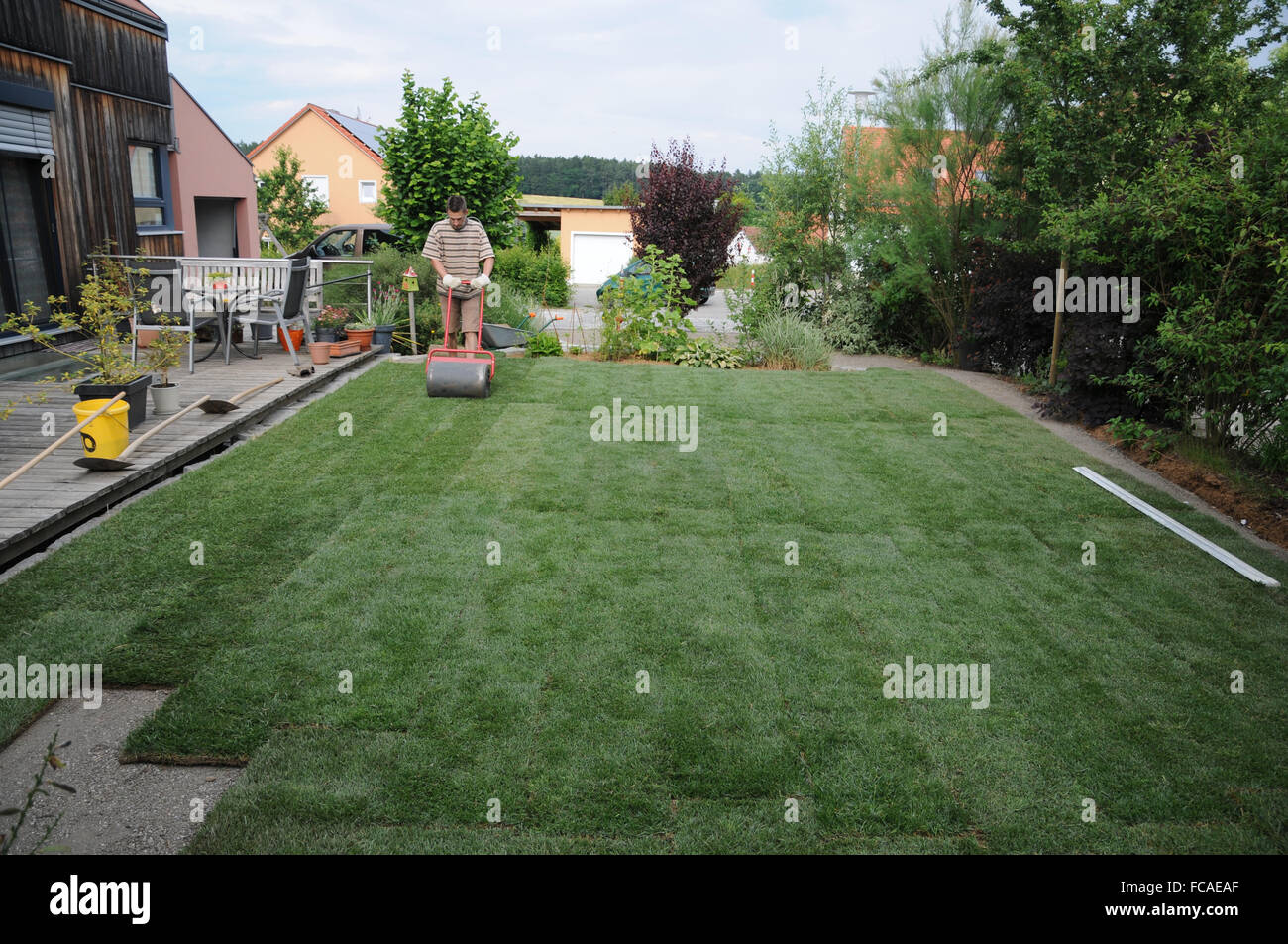 Verlegung von Sod, Rollen die sod Stockfotografie Alamy
