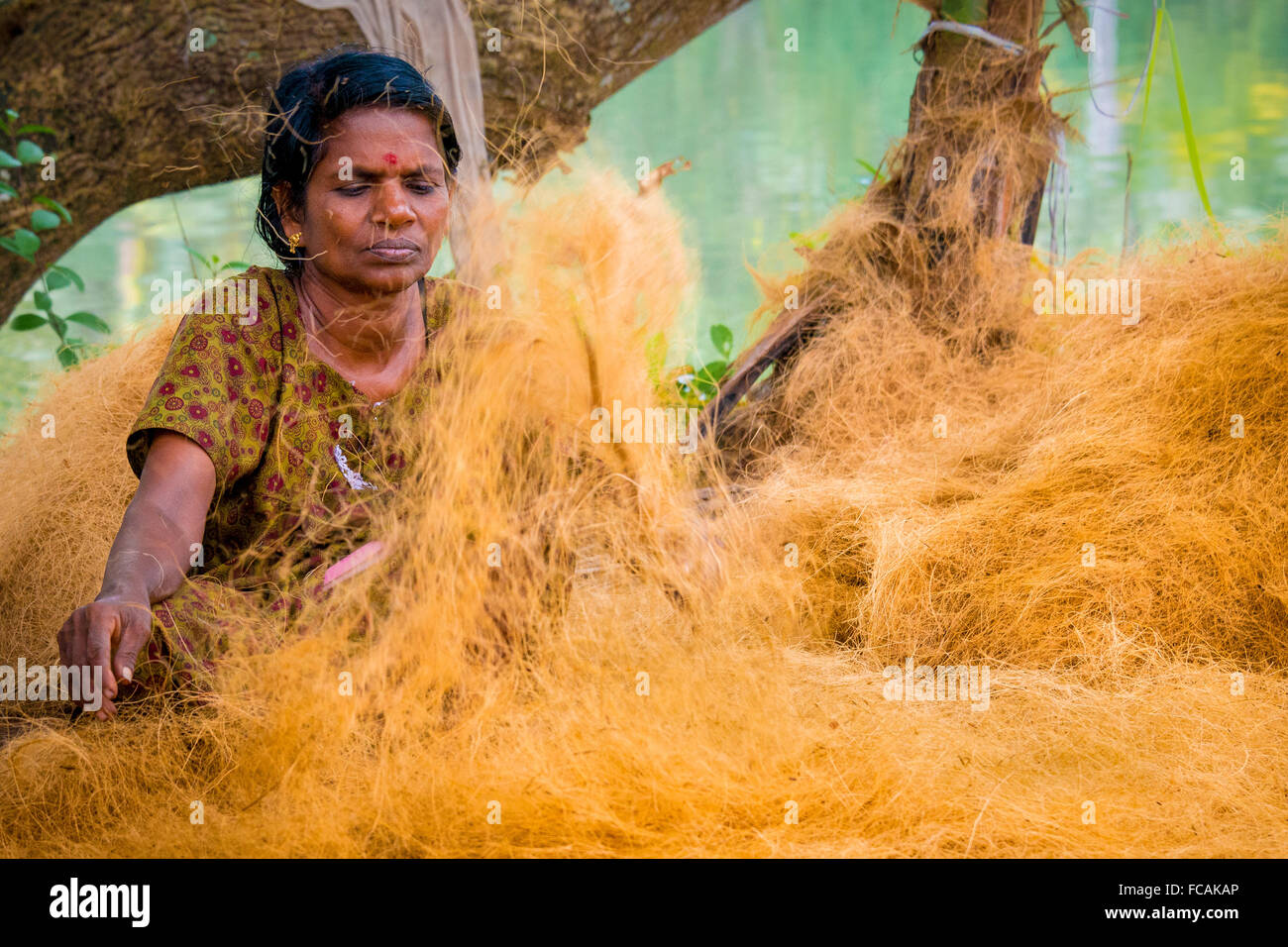 Indische Frau trennt die Kokosfasern verwendet für die Herstellung von Seil Stockfoto