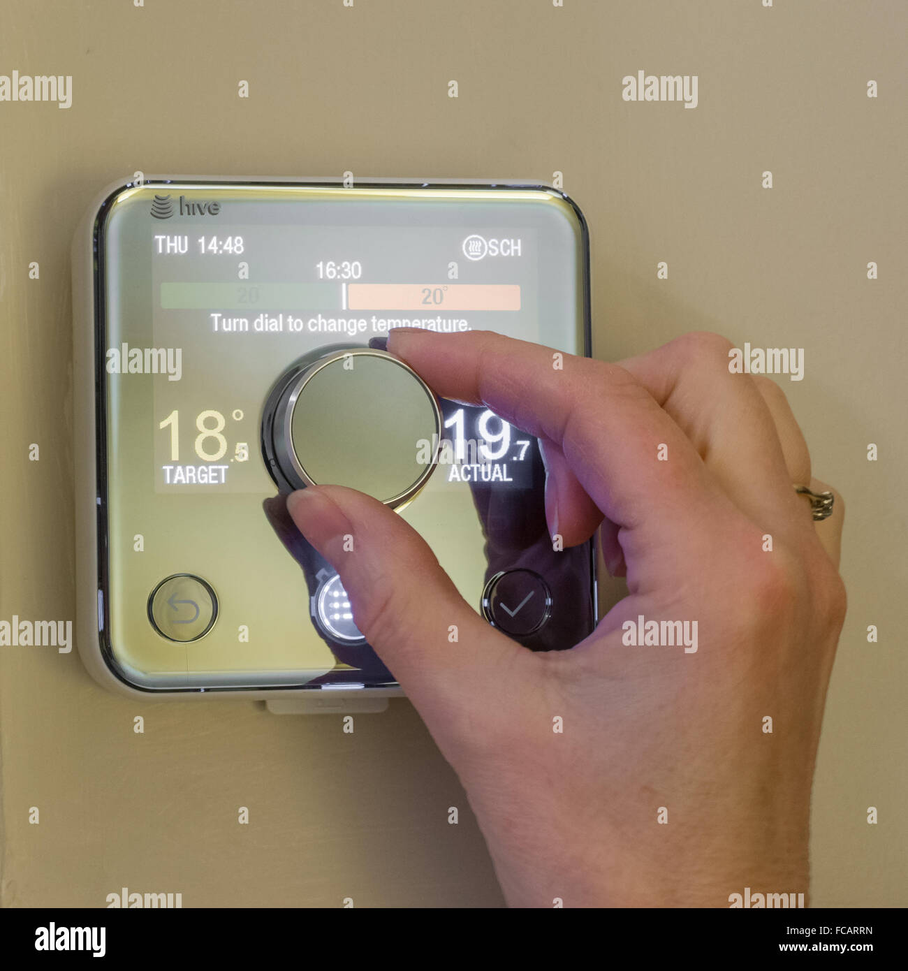 weibliche Hand drehen Sie die Temperatur der Heizung über ein Thermostat Hive Stockfoto