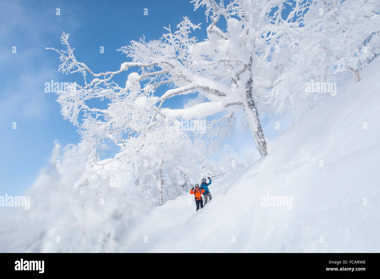 Zwei glückliche Skifahrerinnen in eine herrliche Winterlandschaft mit weiß verputzten gefrorenen Bäumen, in der Nähe von Kiroro Skigebiet am Hakkaido, Stockfoto