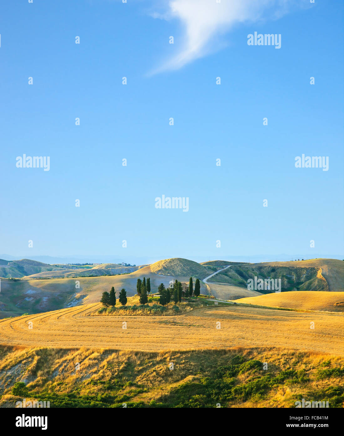 Toskana, Landschaft im ländlichen Raum. Landschaft-Bauernhof, Zypressen Bäume, grüne Wiese, blauer Himmel und seltsame Wolke. Volterra, Italien, Europa. Stockfoto