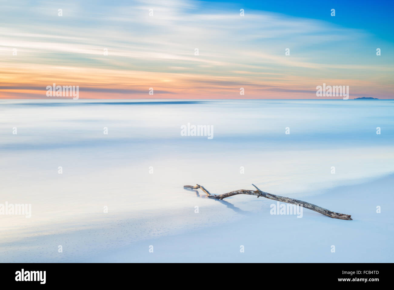 Holz Zweig an einem weißen Strand Sonnenuntergang pünktlich Dämmerung. Langzeitbelichtung Fotografie. Stockfoto