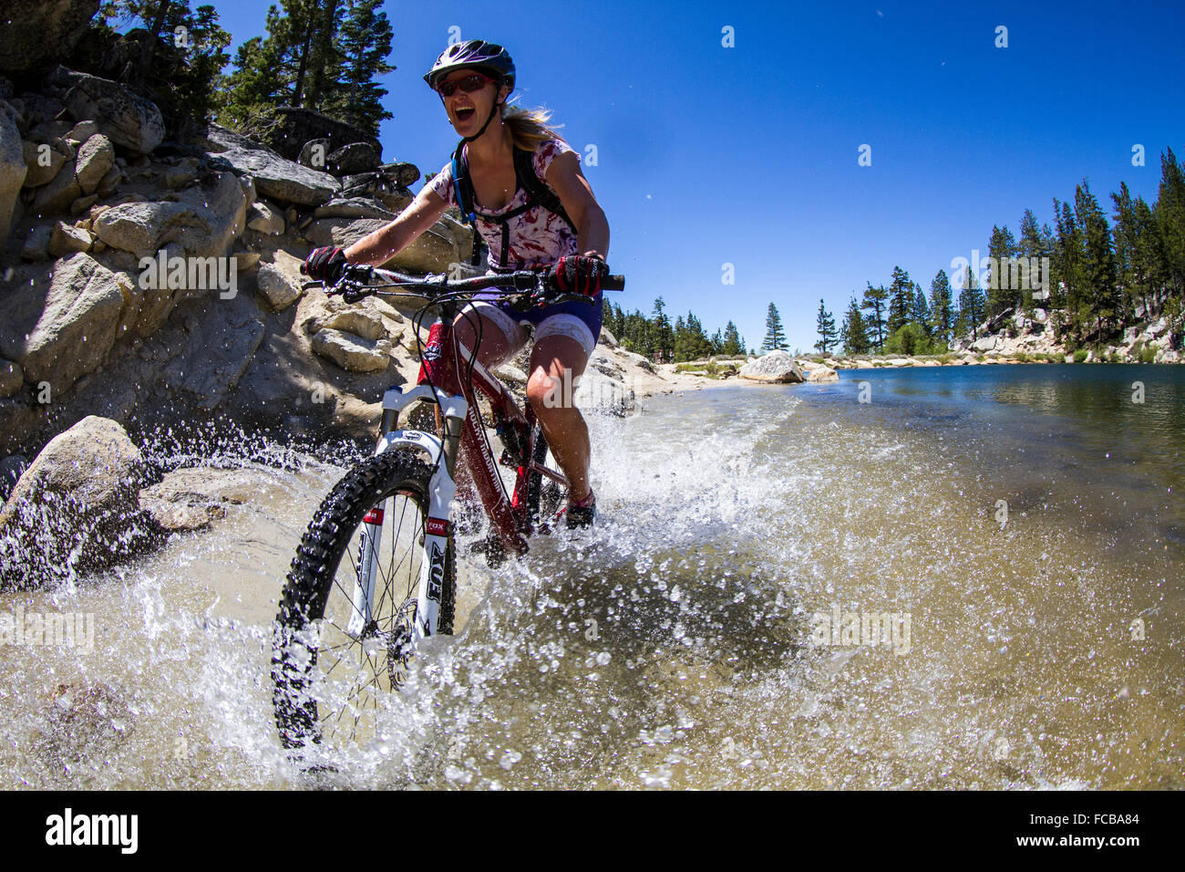 Mountainbiken auf Flume Trail, Tahoe, CA Stockfoto