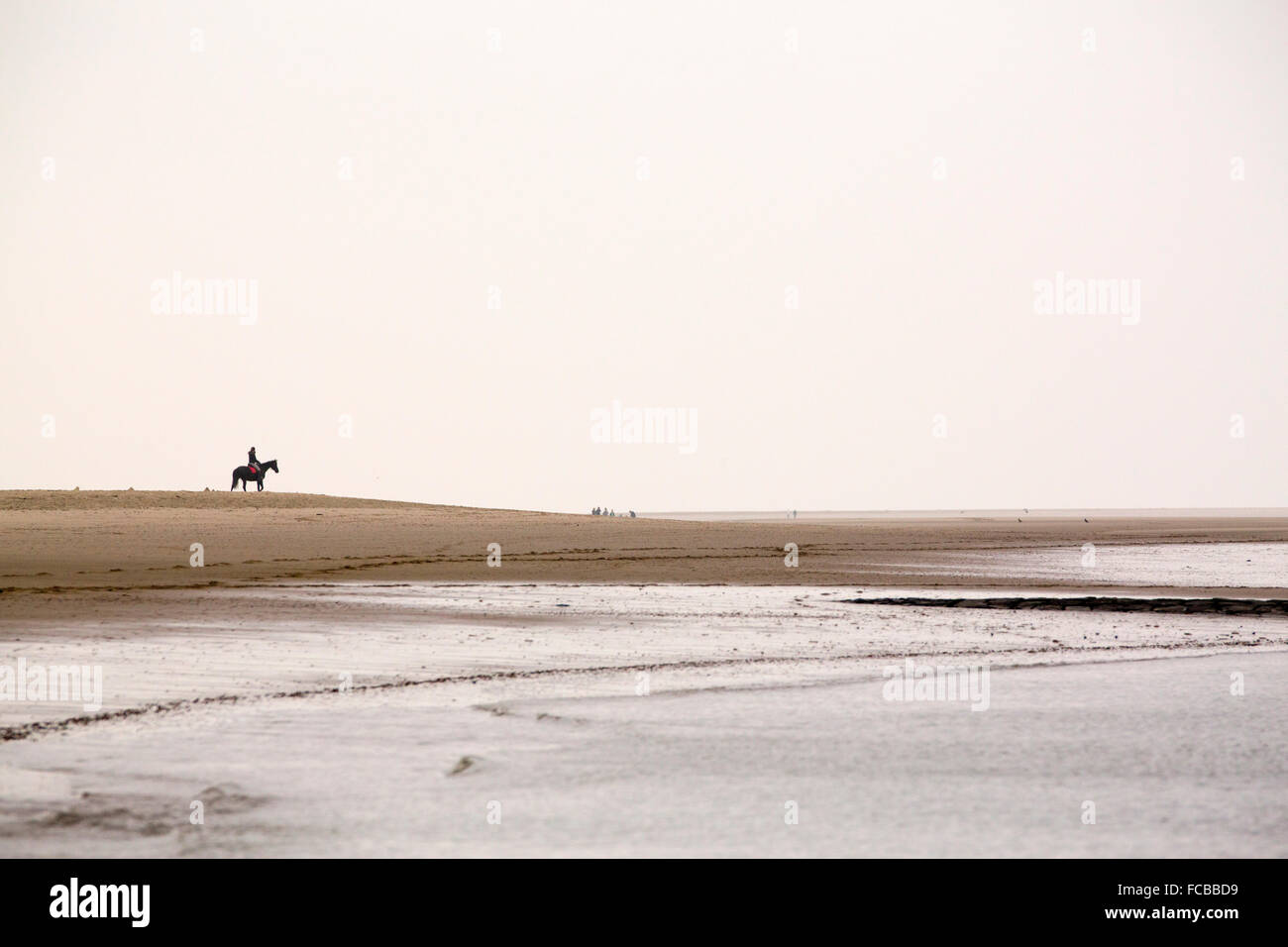 Niederlande, Renesse, Frau Reiten am Strand Stockfoto