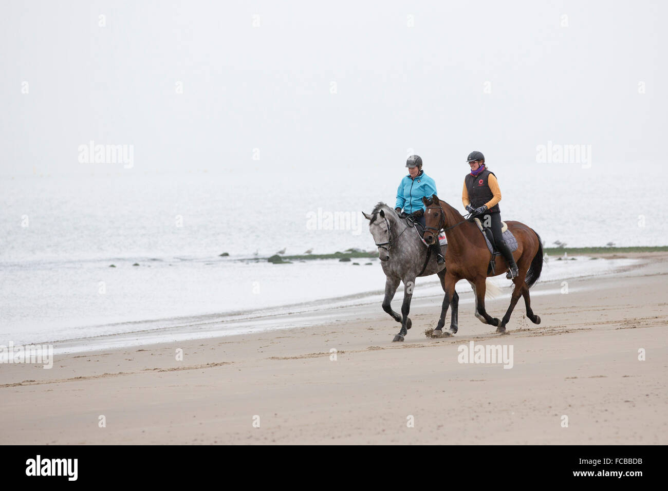 Niederlande, Renesse, Frauen Reiten am Strand Stockfoto