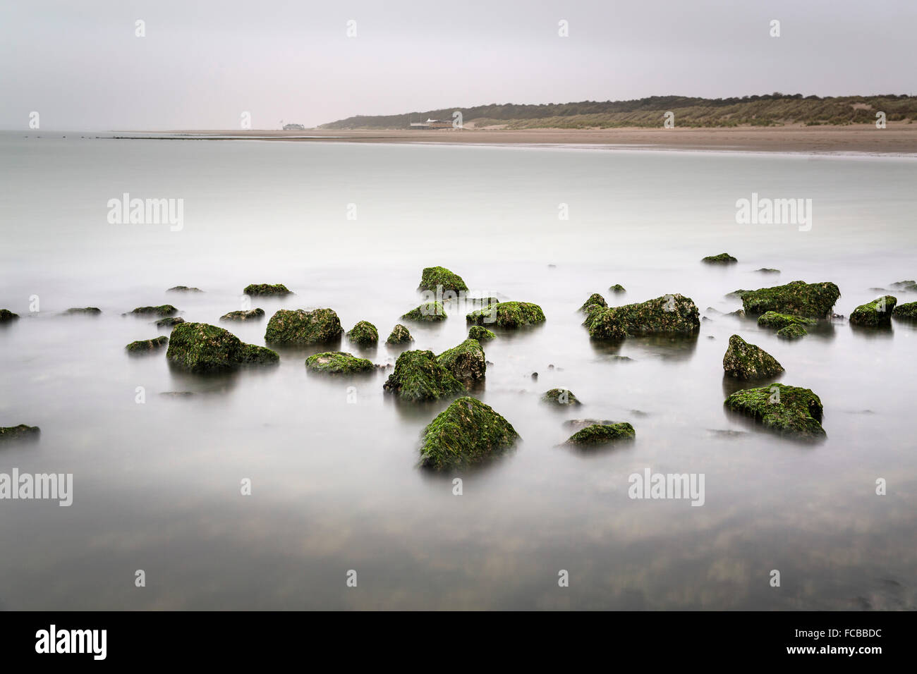 Niederlande, Renesse, Strand mit Moos auf den Steinen des Wellenbrechers. Langzeitbelichtung Stockfoto