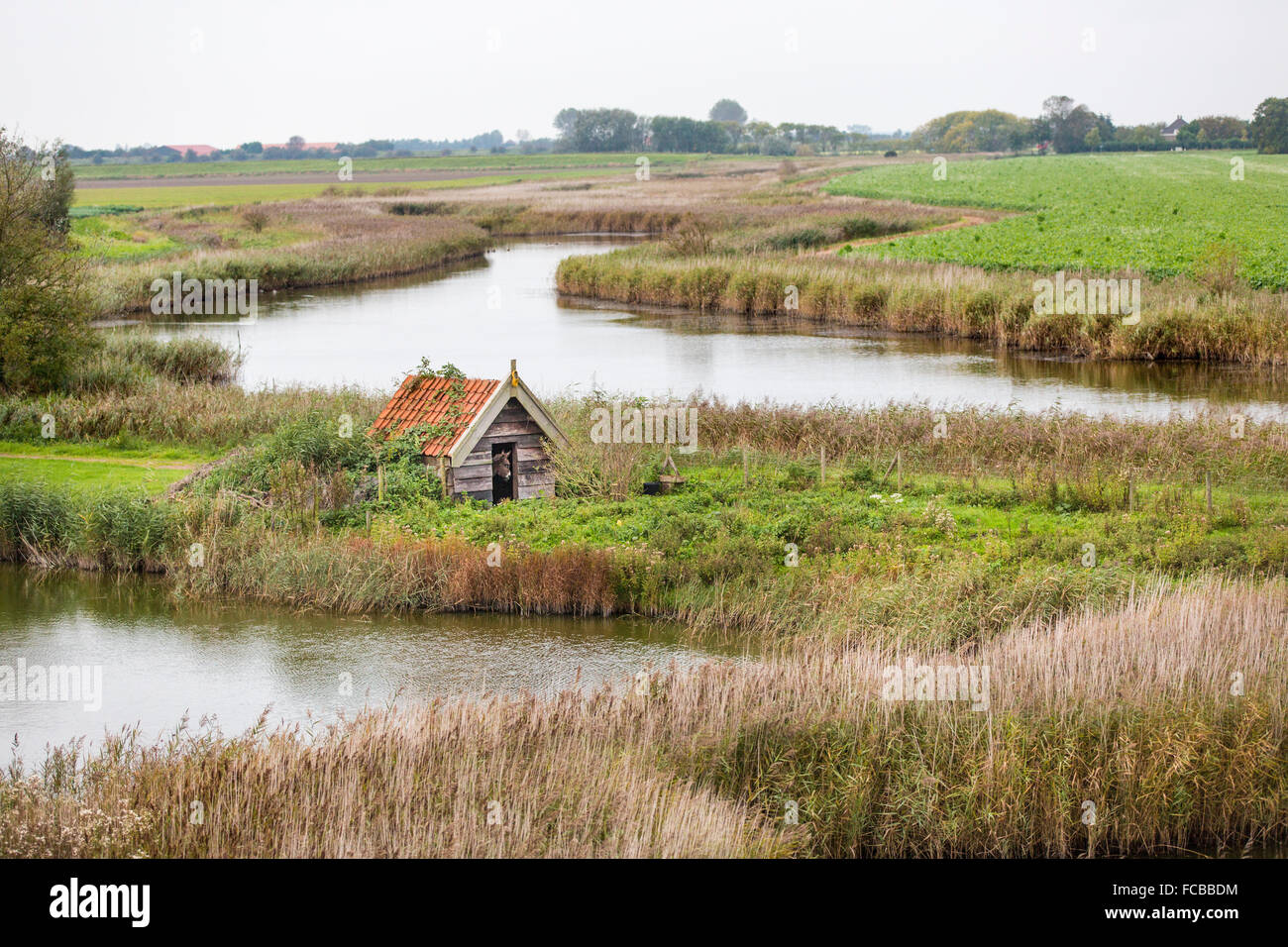 Niederlande, Zonnemaire, Esel aus seinem Stall Stockfoto