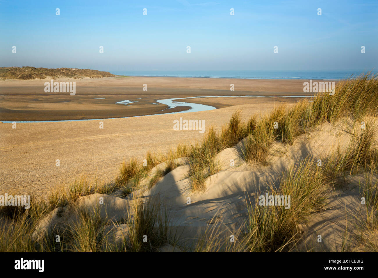 Niederlande, Retranchement, Natur Naturschutzgebiet Zwin an Belgien und den Niederlanden Küste Stockfoto