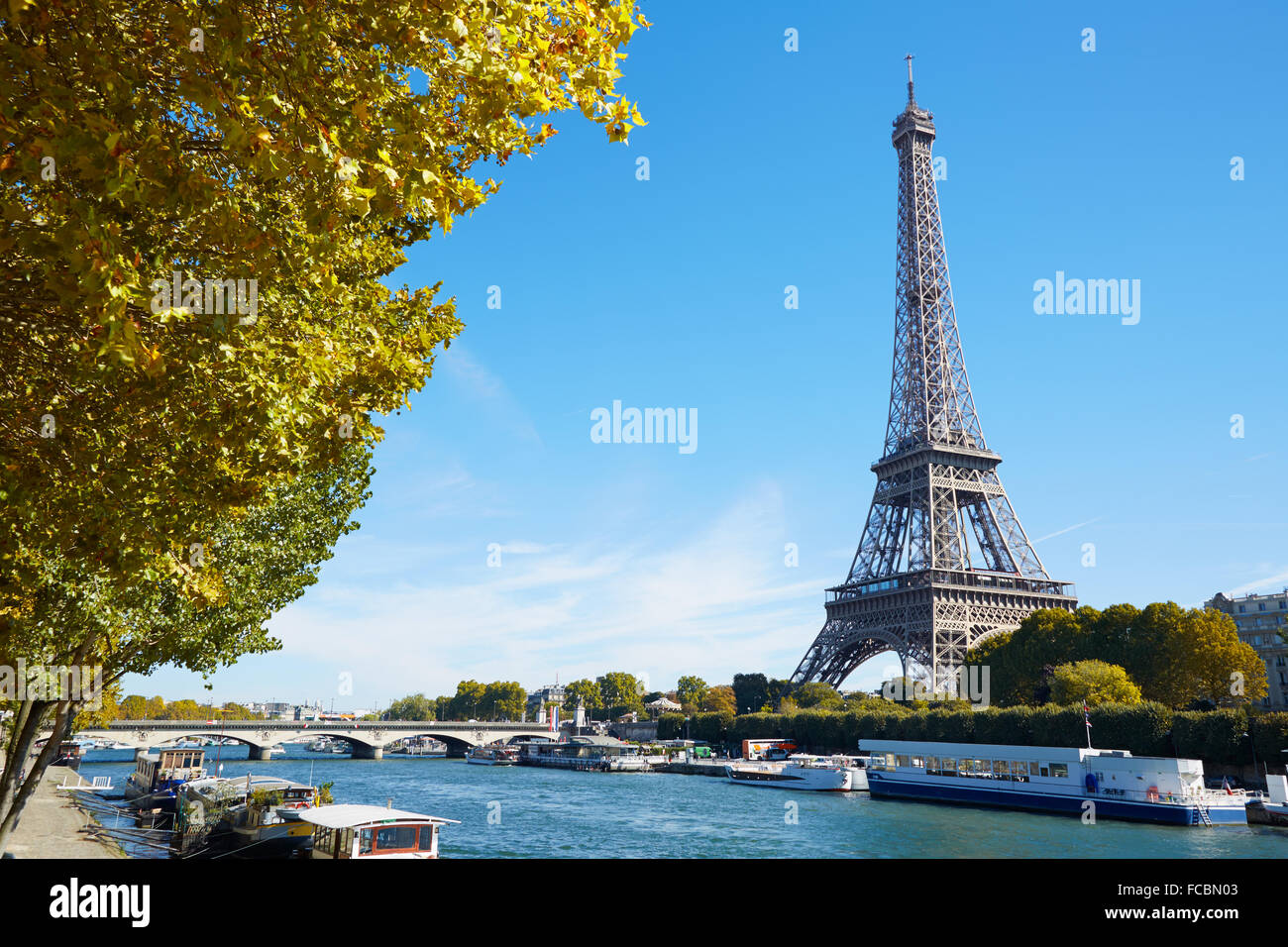 Eiffelturm und Seine Aussicht auf den Fluss mit gelben Herbst Äste an einem sonnigen Tag in Paris Stockfoto