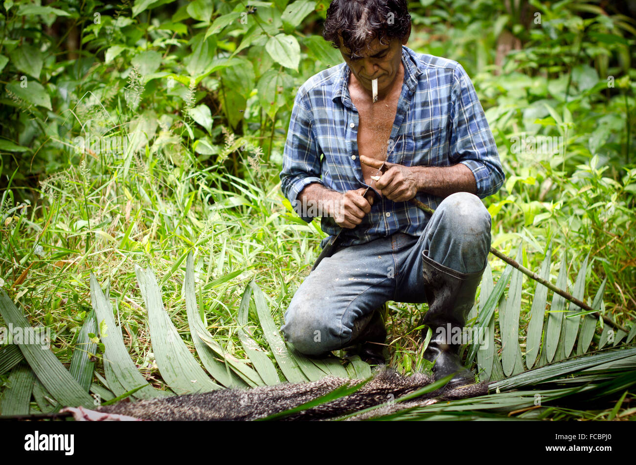 Hunter im Amazonas-Regenwald, die trocknen die Haut des wildes Tier, Iquitos, Peru Stockfoto
