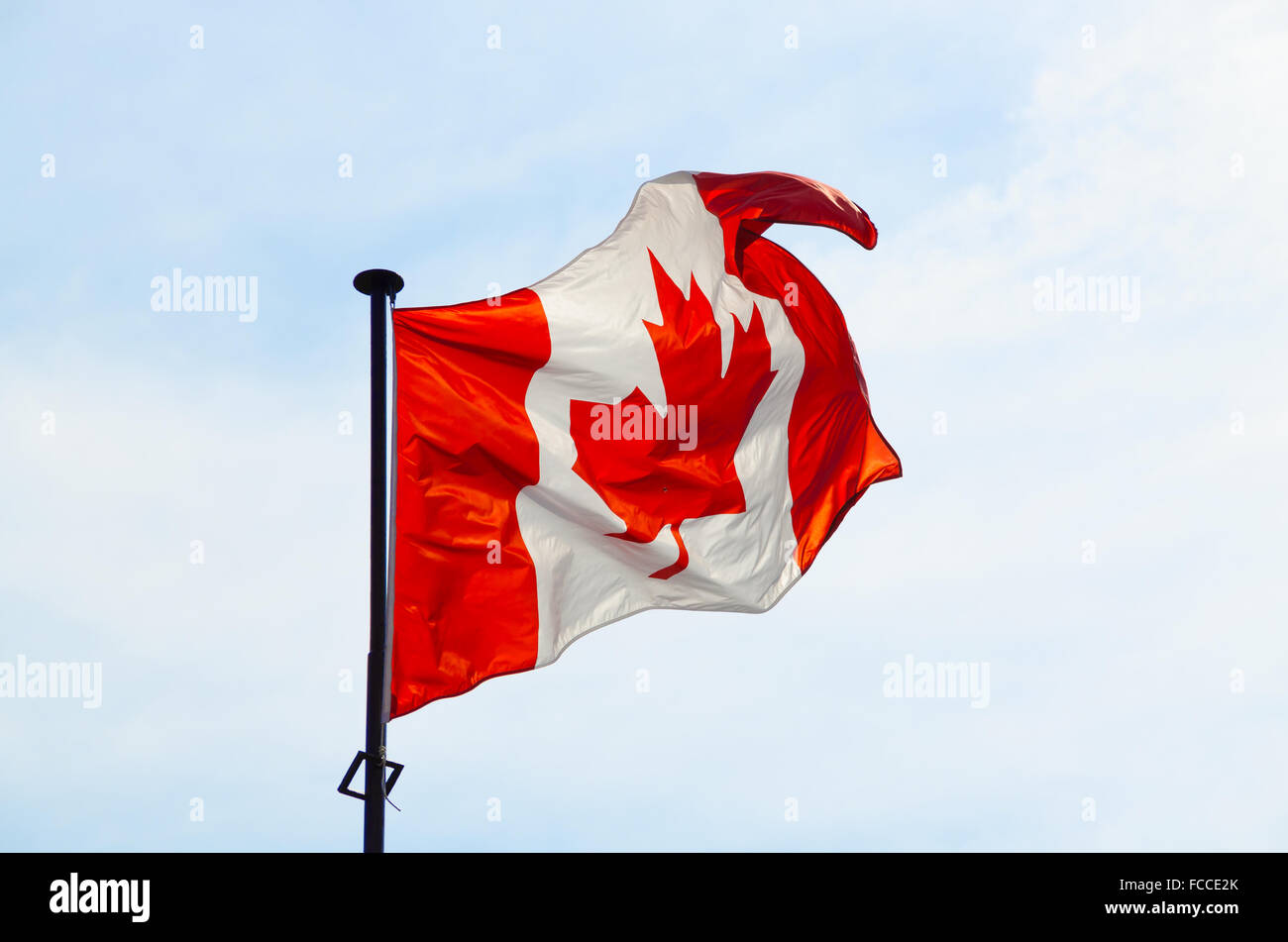 Kanadische Flagge auf dem blauen Himmelshintergrund Stockfoto