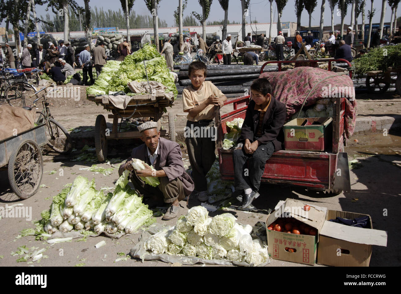 Kohl für den Verkauf in Sonntagsmarkt von Kashgar. Kashgar, Provinz Xinjiang, China Stockfoto