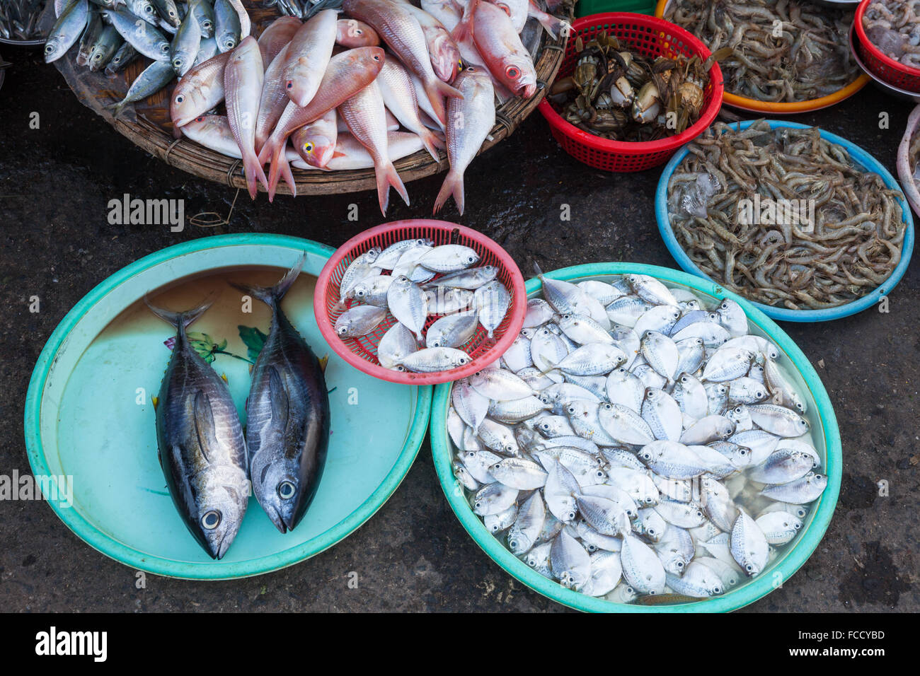Körbe voller Meeresfrüchte auf dem nassen Markt. Nha Trang, Vietnam. Stockfoto