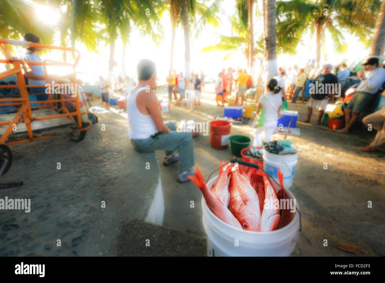 Surreal nehmen auf Red Snapper in einem Eimer auf dem Open-Air-Fischmarkt in Zihuatanejo, Guerrero, Mexiko. Stockfoto