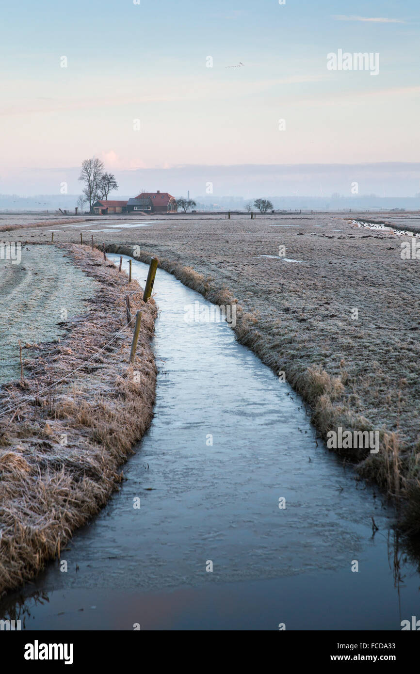 Niederlande, Nijkerk, Arkemheen Polder. Auf dem Bauernhof, frost, Graben Stockfoto