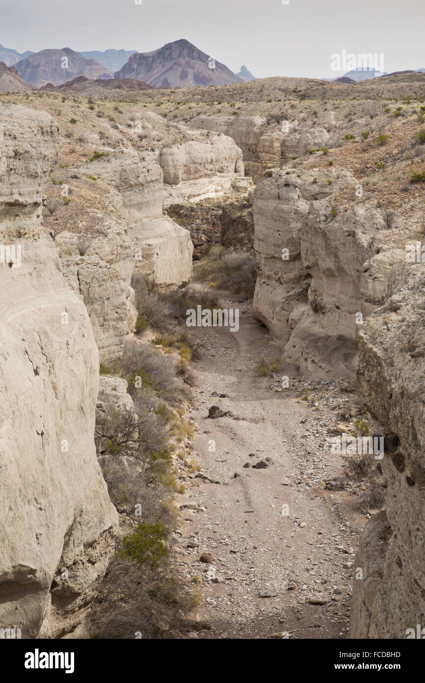 Tuff Canyon, mit Schichten von gehärteten Vulkanasche, Big Bend Nationalpark, Texas Stockfoto