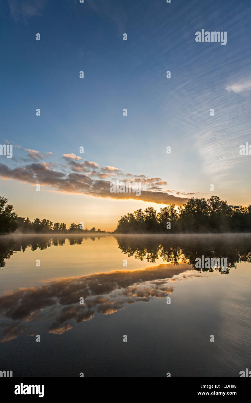 Niederlande, Werkendam, Nationalpark De Biesbosch, morgen Ruhe auf dem Wasser Stockfoto