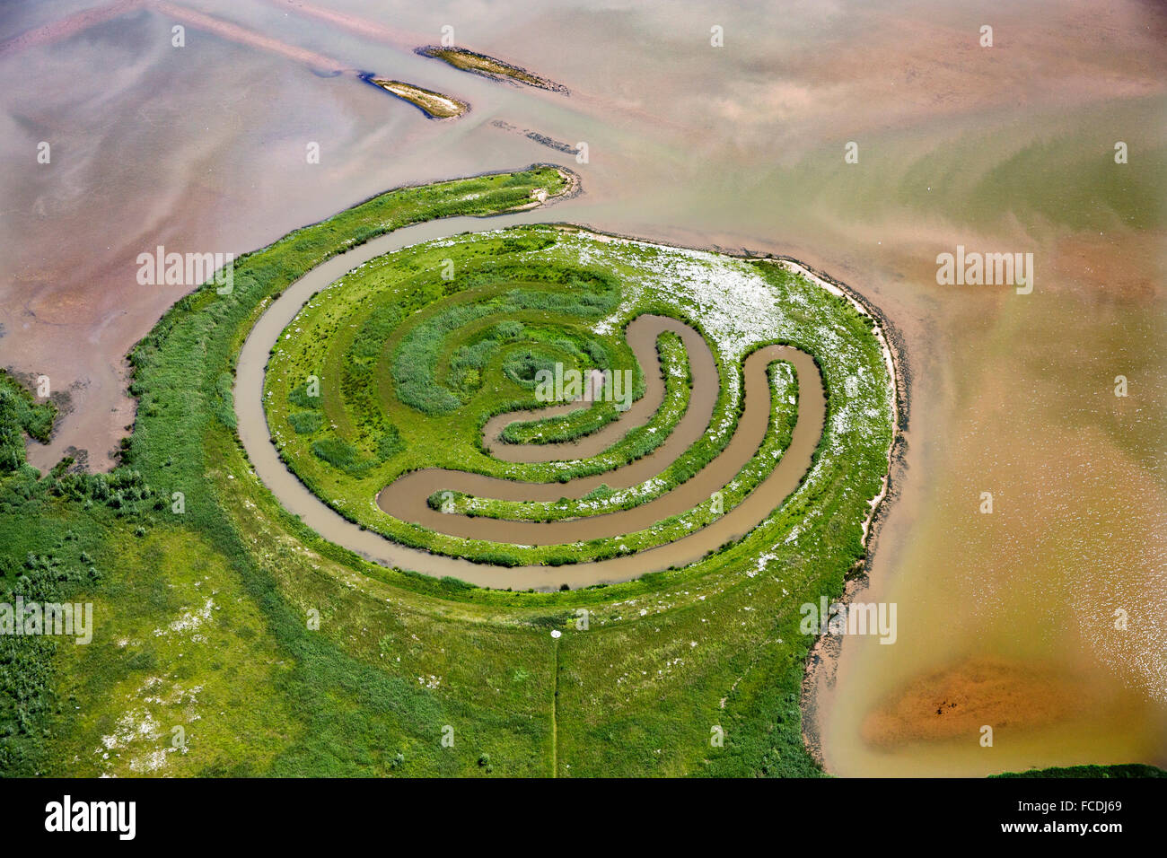 Niederlande, Werkendam, Biesbosch Nationalpark. Frisches Wasser Wattenmeer. Artwork. Luftbild Stockfoto