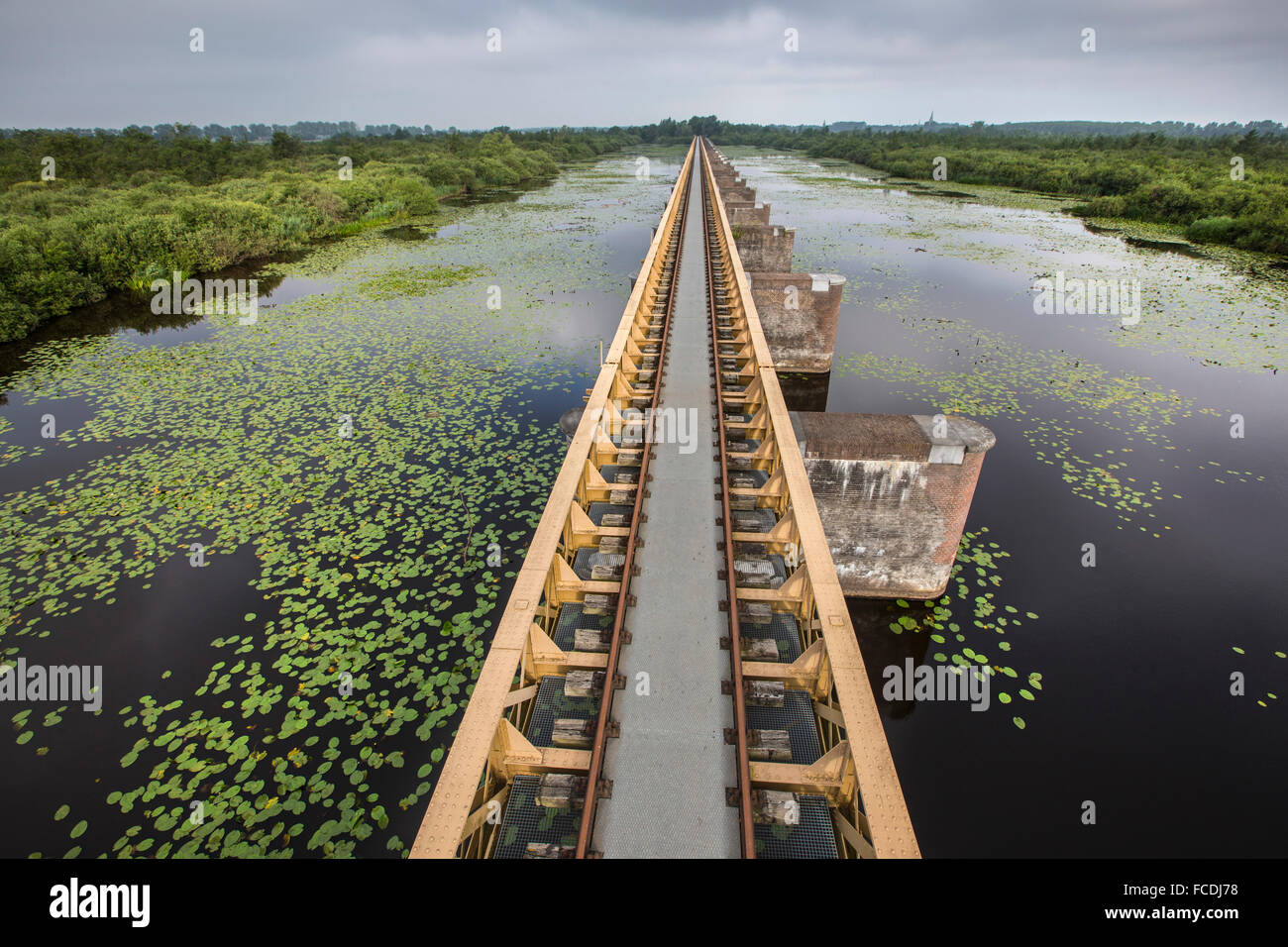 Niederlande, Den Bosch, Naturschutzgebiet "De Moerputten. Ehemaliger Bahnhof Brücke über den Sumpf Stockfoto