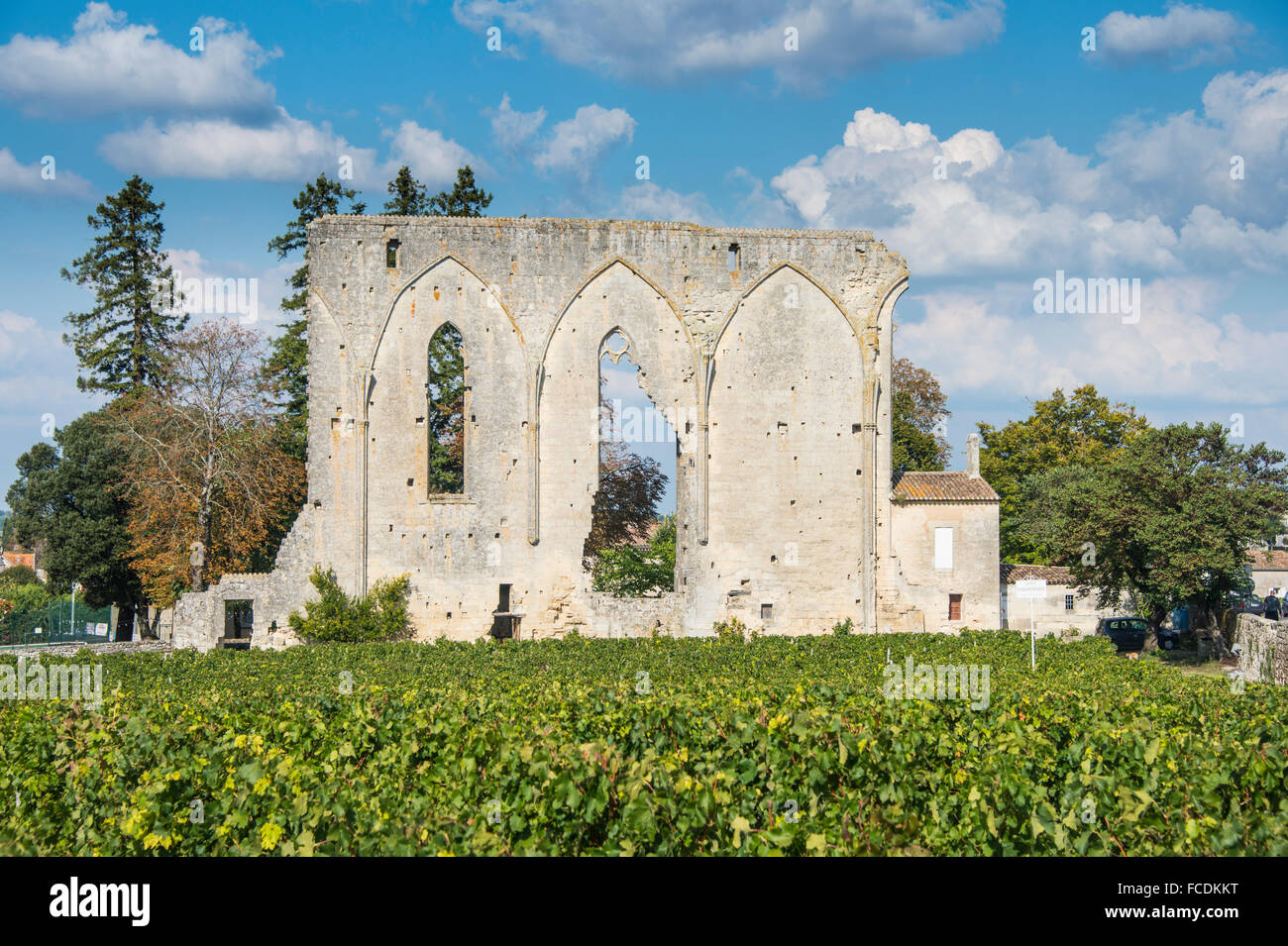 Chateau Les Grandes Mauern, Saint Emilion, Département Gironde, Frankreich Stockfoto