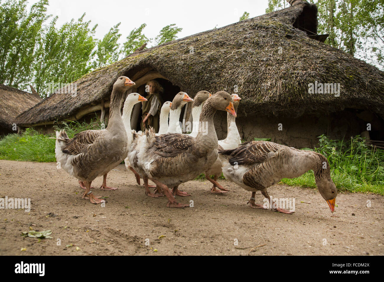 Niederlande, Alphen Aan De Rijn, Archeon. Stellen Sie Schüsse vom Kino film Holland, der lebendige Delta. Stockfoto