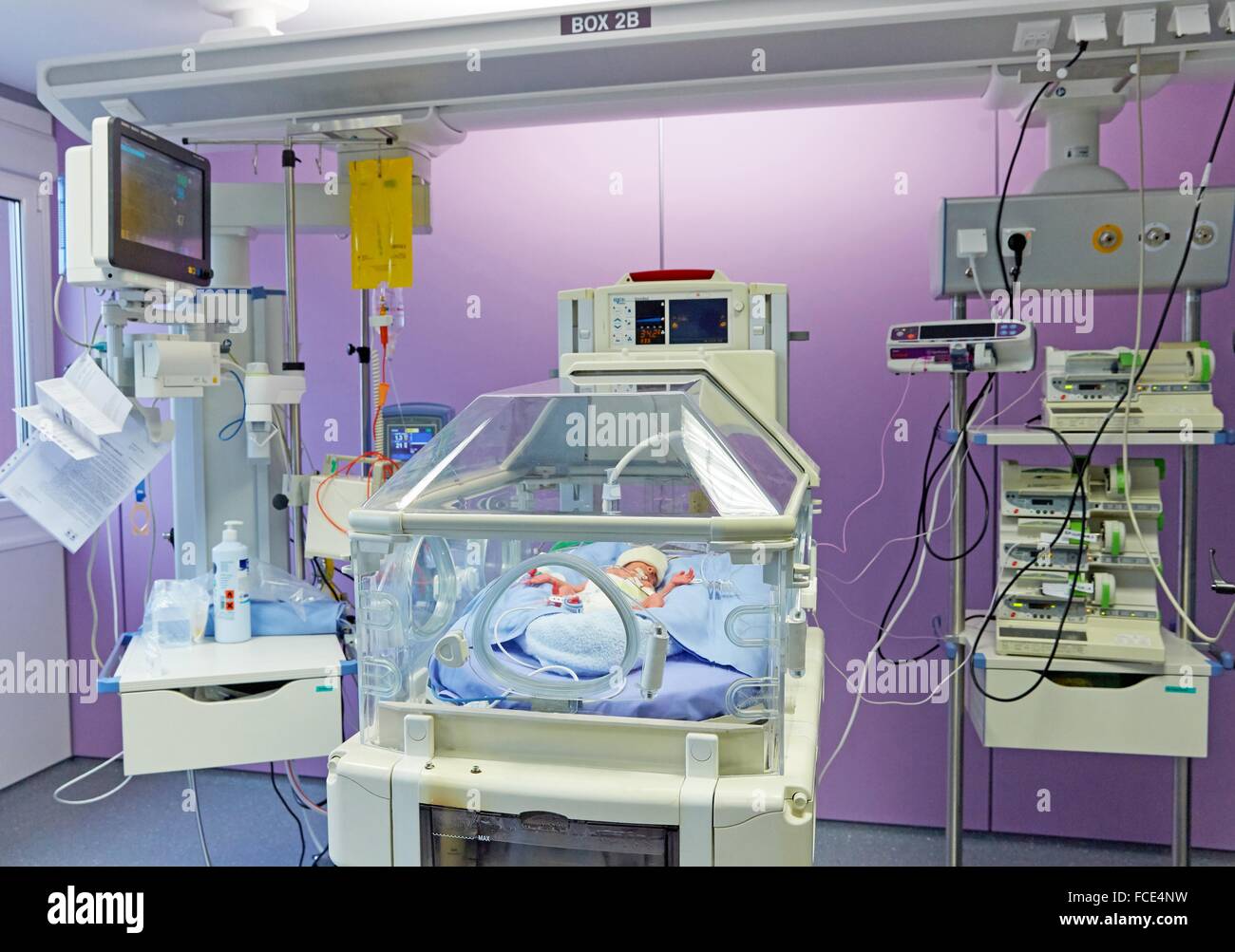 Inkubator, medizinische Versorgung, Neugeborenen-Intensivstation, ICU, Hospital Donostia, San Sebastian, Gipuzkoa, Baskenland, Spanien Stockfoto